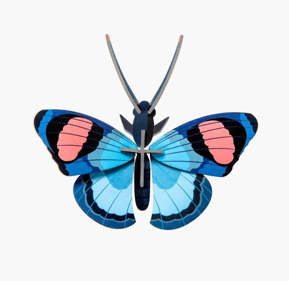Peacock Butterfly