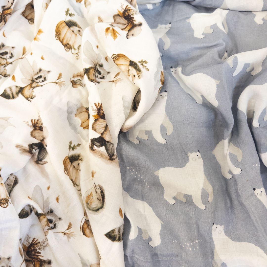 סט זוגי טטרה במבוק-  שלג ויער