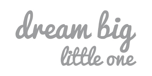 מדבקות קיר DREAM BIG LITTLE ONE